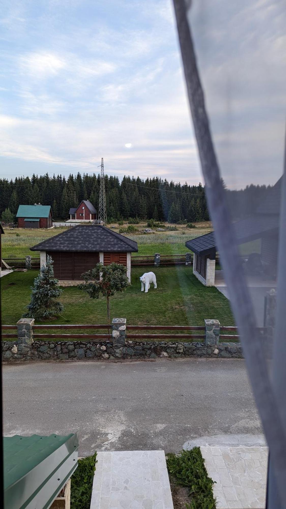Mountain Haven Deluxe Διαμέρισμα Žabljak Εξωτερικό φωτογραφία